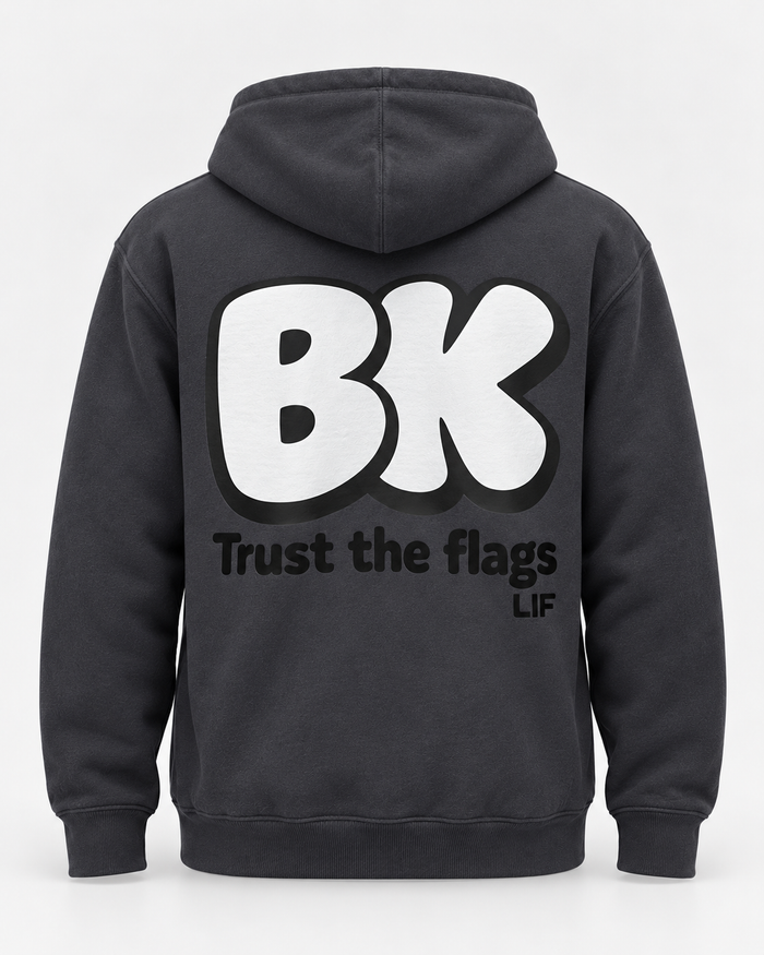 LIF BACK hoodie Shark grey staged back view